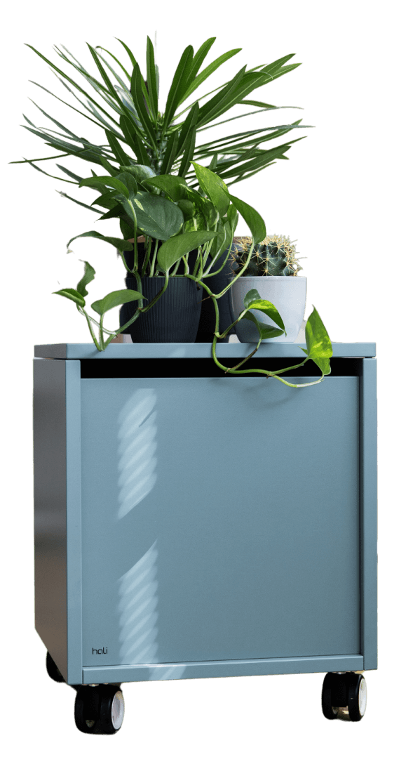 roller-plant